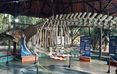 Museu Sacaca chega aos 24 anos com programação especial