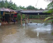 Enchente atinge comunidade do Igarapé do Palha em Ferreira Gomes