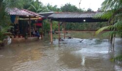 Enchente atinge comunidade do Igarapé do Palha em Ferreira Gomes