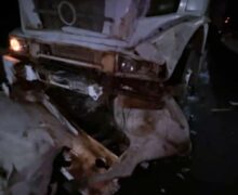 Quatro bois morrem após caminhão atingir manada solta na BR-156