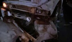 Quatro bois morrem após caminhão atingir manada solta na BR-156