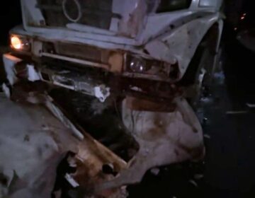 Quatro bois morrem após caminhão atingir manada solta na BR-156