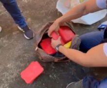 Forte odor em vila leva a apreensão de 17kg de drogas