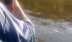 Corpos de irmãos são encontrados após naufrágio no rio Jari