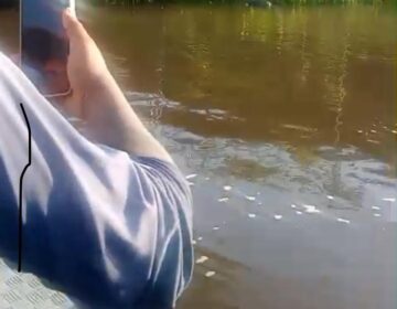 Corpos de irmãos são encontrados após naufrágio no rio Jari