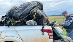 Secretário de Agricultura de Santana é preso com carga milionária roubada no Amapá