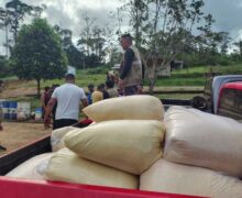 Praga na mandioca: governo distribui mais de 45 toneladas de farinha a indígenas