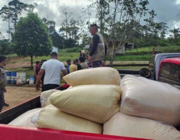 Praga na mandioca: governo distribui mais de 45 toneladas de farinha a indígenas