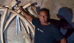 Ossada de baleia, espada e moedas: morador reúne achados com sonho de criar museu