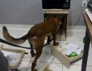 Alvo de operação, grupo comandado de dentro do Iapen movimentou R$ 52 milhões