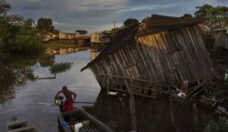 Dez anos após Belo Monte, comunidades apontam “desastre ambiental” e impactos permanentes