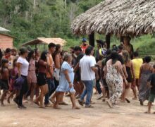 Guerra do dendê expõe violência, disputa por terras e denúncias no interior do Pará