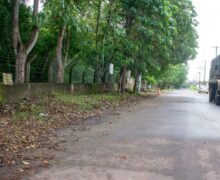 Prefeitura inicia revitalização de calçadas abandonadas com paisagismo e iluminação