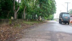 Prefeitura inicia revitalização de calçadas abandonadas com paisagismo e iluminação