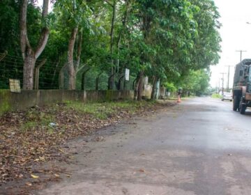 Prefeitura inicia revitalização de calçadas abandonadas com paisagismo e iluminação