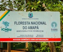 Ação na Justiça quer barrar mineração na Flona do Amapá
