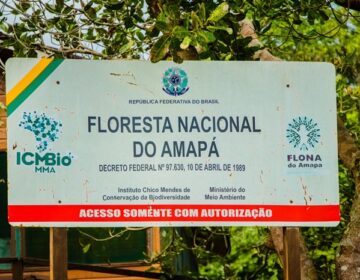 Ação na Justiça quer barrar mineração na Flona do Amapá