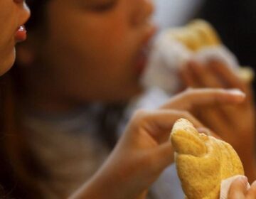 Lei municipal tenta proibir lanches que não sejam saudáveis nas escolas