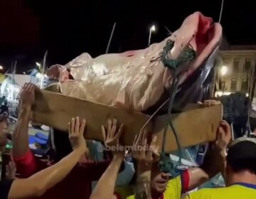 5 homens se juntam para transportar peixe com 180 quilos