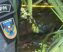Corpo é encontrado em área de mata ao lado de feira em Santana