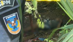 Corpo é encontrado em área de mata ao lado de feira em Santana