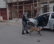 Policiais interceptam carga de cocaína vinda de Belém