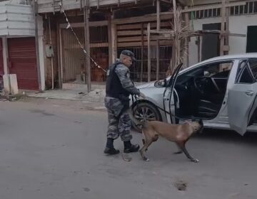 Policiais interceptam carga de cocaína vinda de Belém
