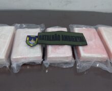 Caminhão com carga de madeira escondia 5 kg de cocaína pura na cabine