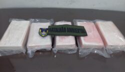 Caminhão com carga de madeira escondia 5 kg de cocaína pura na cabine