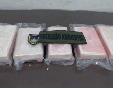 Caminhão com carga de madeira escondia 5 kg de cocaína pura na cabine