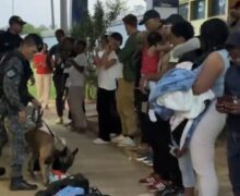 Franceses são flagrados com drogas por cão farejador em posto de fiscalização