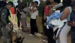Franceses são flagrados com drogas por cão farejador em posto de fiscalização