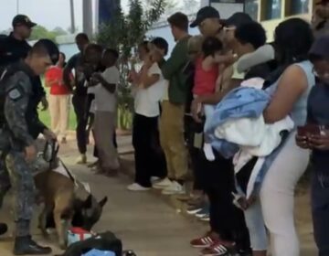 Franceses são flagrados com drogas por cão farejador em posto de fiscalização