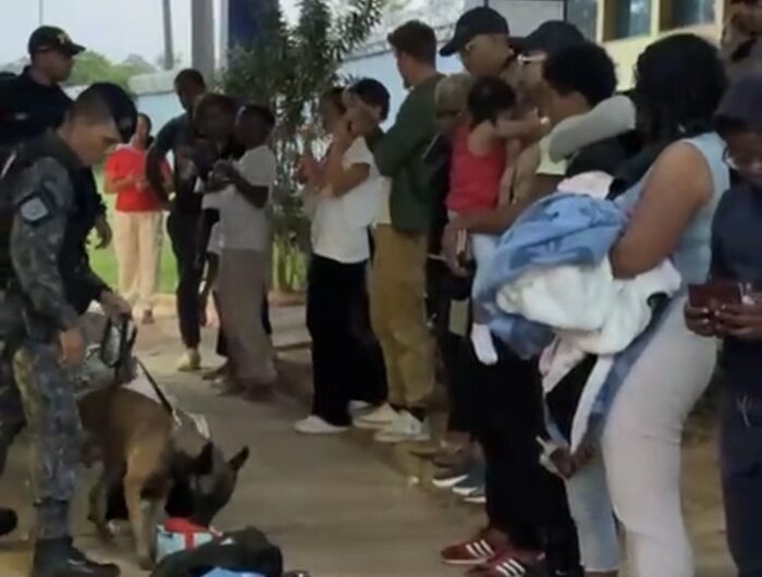 Franceses são flagrados com drogas por cão farejador em posto de fiscalização