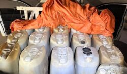 PM apreende 800 litros de combustível transportados de forma irregular; destino seria garimpo