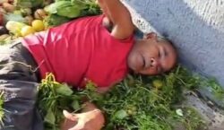 Motorista avança sinal, bate em carro e atropela feirantes em Belém