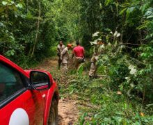 Desaparecidos em área próxima a garimpo usavam Starlink, mas sinal foi interrompido