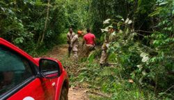 Desaparecidos em área próxima a garimpo usavam Starlink, mas sinal foi interrompido