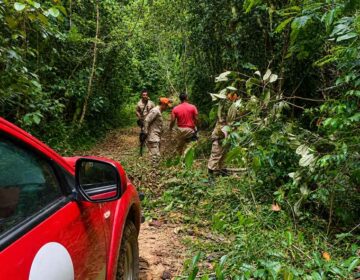 Desaparecidos em área próxima a garimpo usavam Starlink, mas sinal foi interrompido