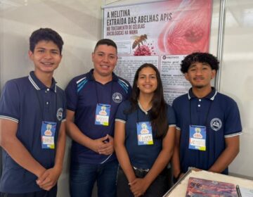 Estudantes pesquisam uso do veneno de abelha em tratatamento contra câncer de mama