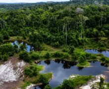 Equipes suspeitam de indícios e encerram buscas por desaparecidos em área de garimpo
