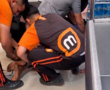 Jovem em surto morreu por asfixia durante imobilização dentro de atacarejo, diz laudo