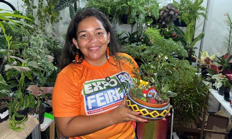 Lembrancinhas, mini jardins e cura: o quintal que virou atração na Expofeira do Amapá