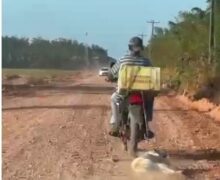 Idoso é flagrado arrastando cachorro preso a motocicleta
