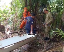 Jovem desaparecido desde sábado é encontrado morto em área de mata em Macapá