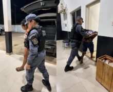 Foragido por tráfico tenta fugir da PM e acaba preso com companheira