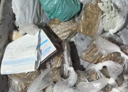 Base de distribuição de drogas estava escondida atrás de casas no Muca