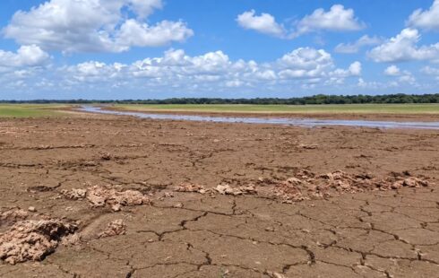 Lagos secam e peixes ficam presos na lama em Pracuúba